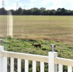Images for Norton Park, Tewkesbury Road, Norton, Gloucester